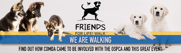 Friends for Life! Walk  Why We Are Walking
