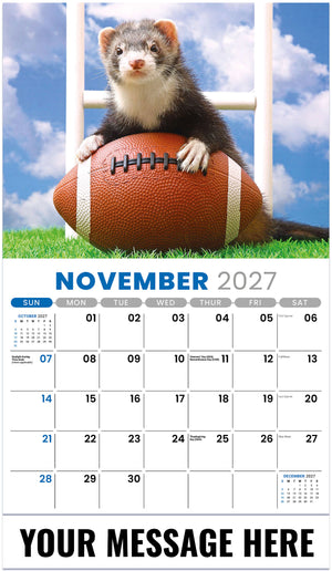Pets - 2027 Promotional Calendar