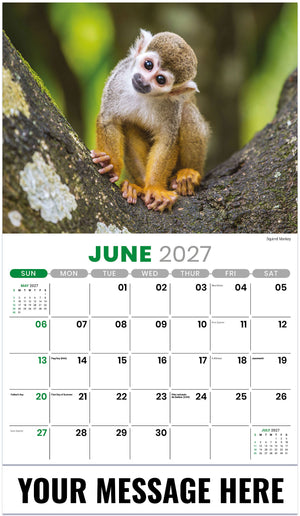 International Wildlife - 2027 Promotional Calendar