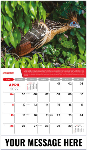 Planet Earth - 2027 Promotional Calendar