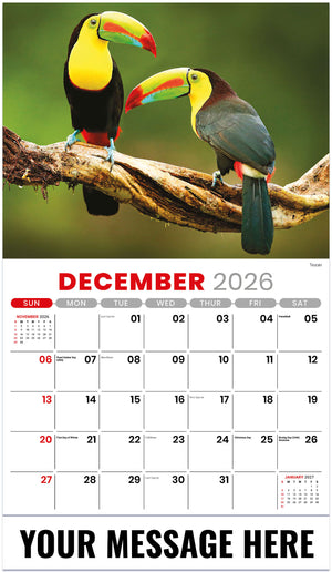 International Wildlife - 2027 Promotional Calendar