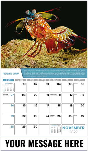 Planet Earth - 2027 Promotional Calendar