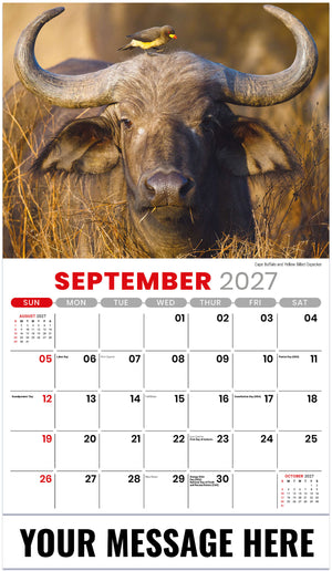 International Wildlife - 2027 Promotional Calendar