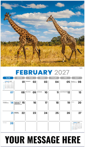 International Wildlife - 2027 Promotional Calendar