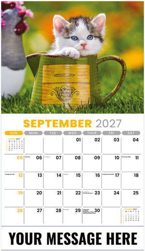 Kittens - 2027 Promotional Calendar