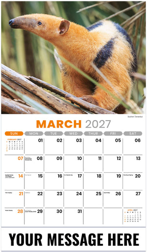 International Wildlife - 2027 Promotional Calendar