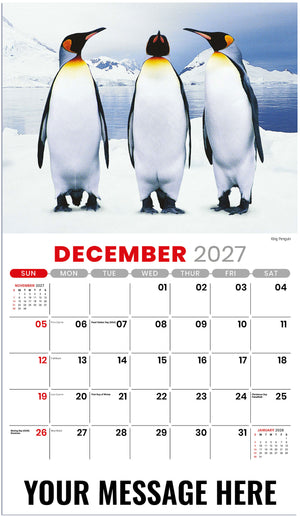 International Wildlife - 2027 Promotional Calendar