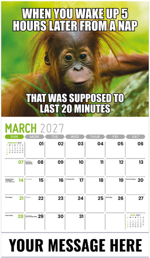 The Memeing of Life - 2027 Promotional Calendar