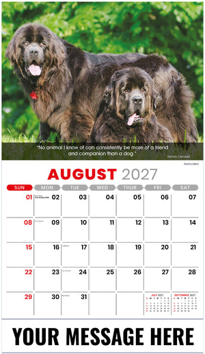 Dogs: Man's Best Friends - 2027 Promotional Calendar