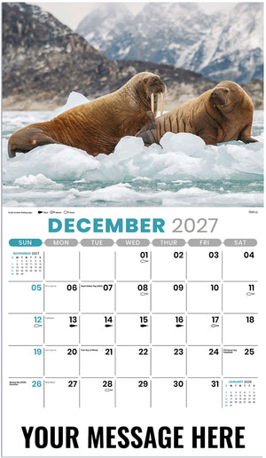 North American Wildlife - 2027 Promotional Calendar