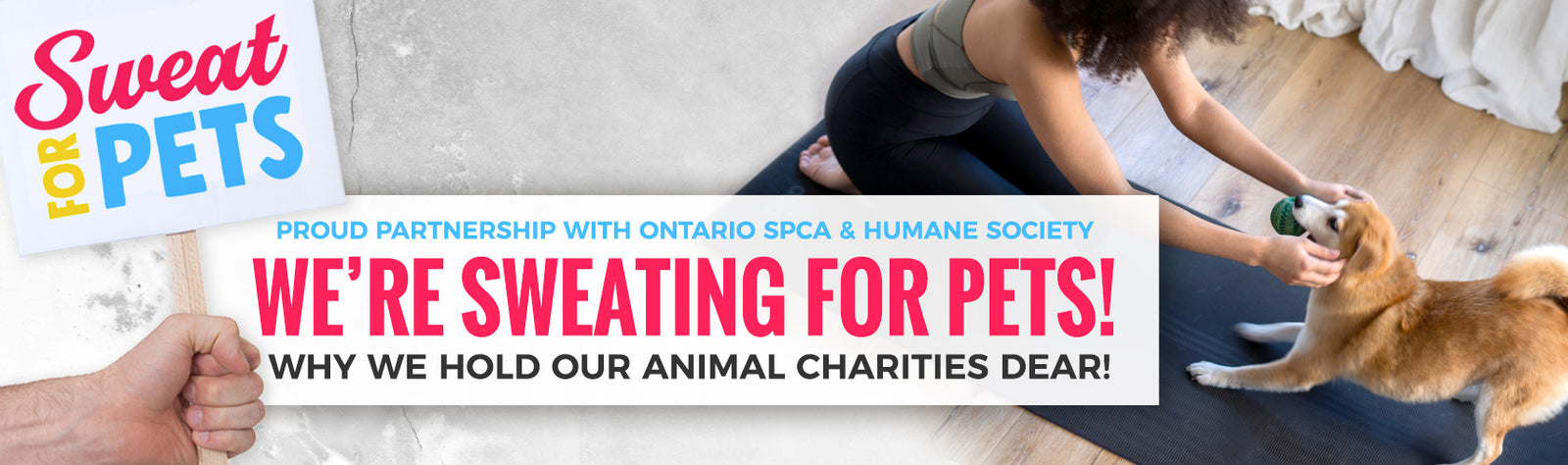 Were Sweating for Pets!