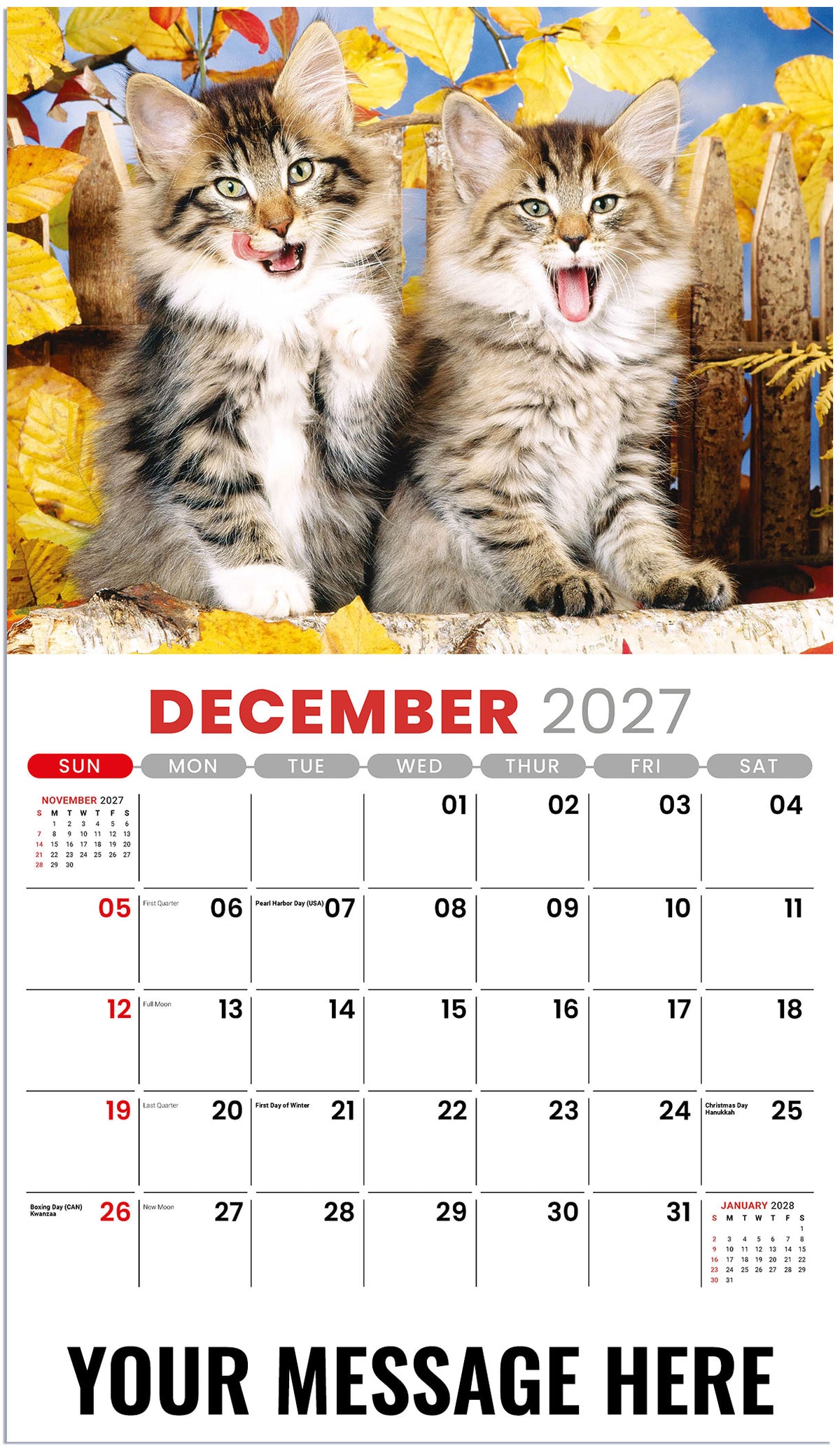 Kittens - 2027 Promotional Calendar