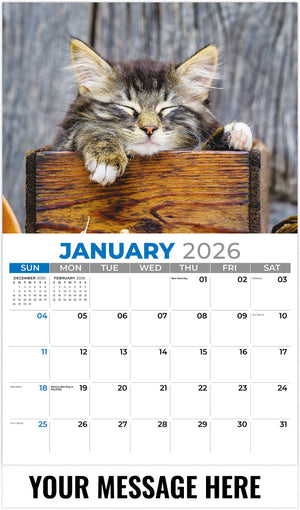 Kittens - 2026 Promotional Calendar