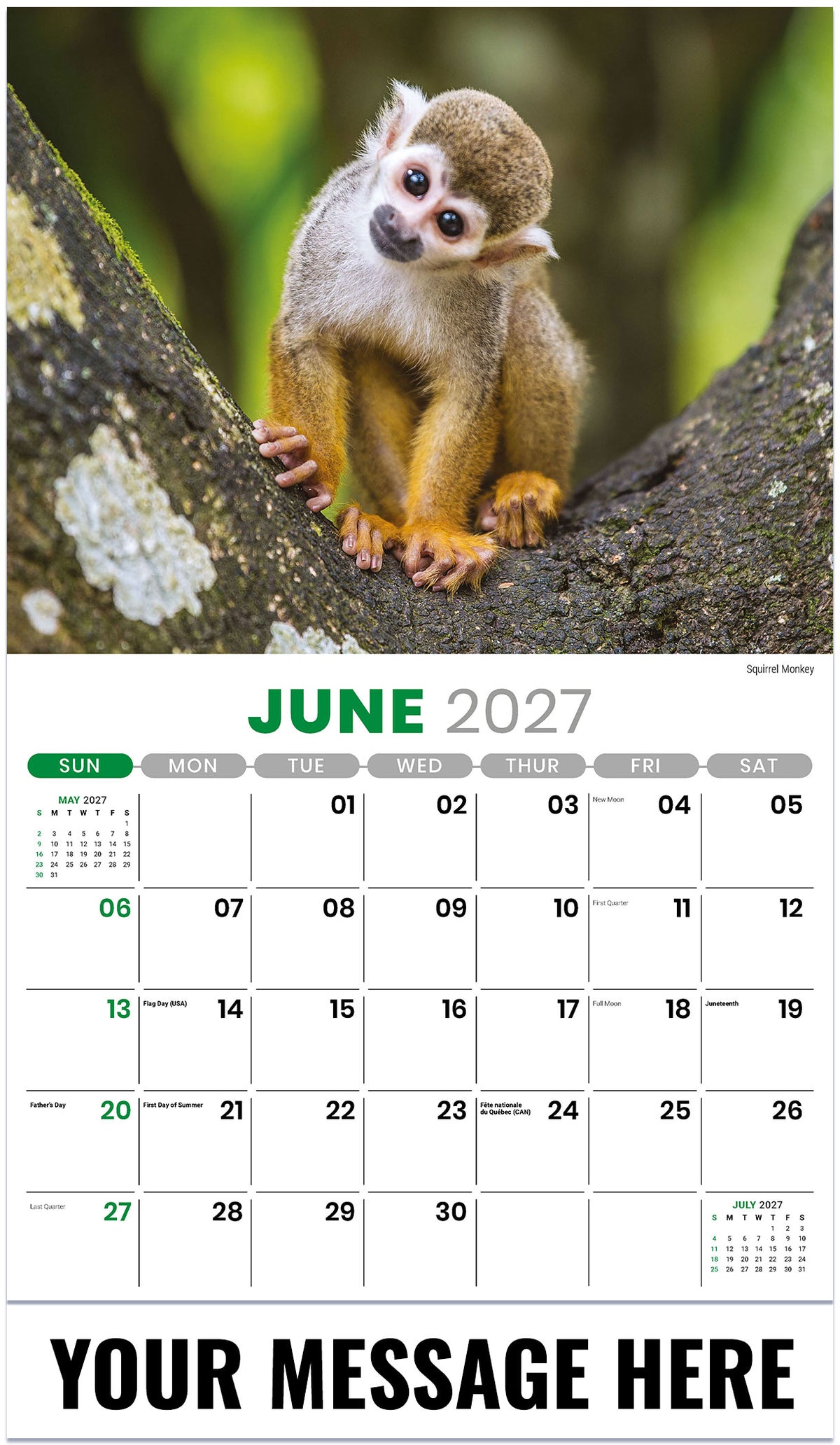 International Wildlife - 2027 Promotional Calendar