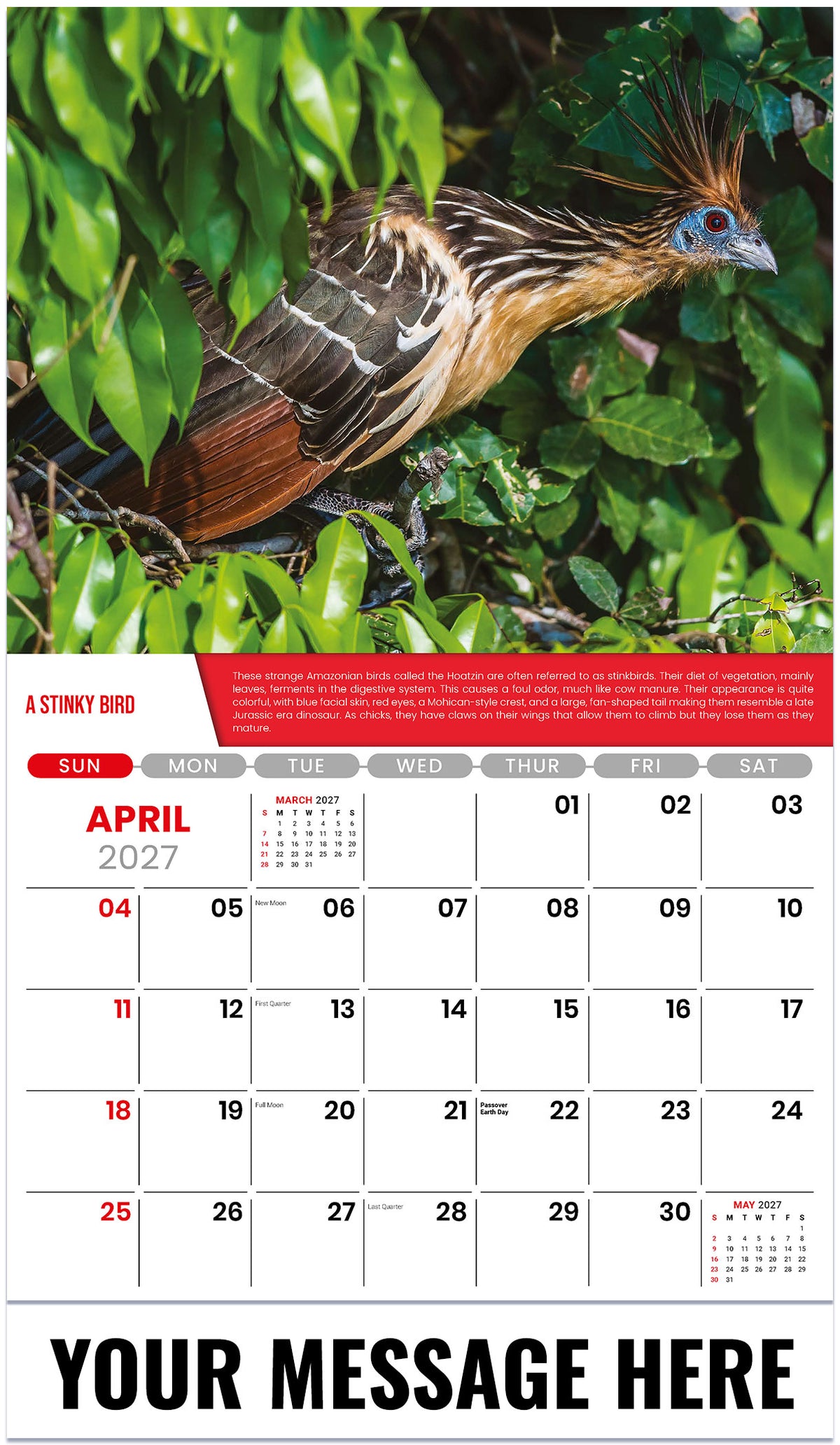 Planet Earth - 2027 Promotional Calendar