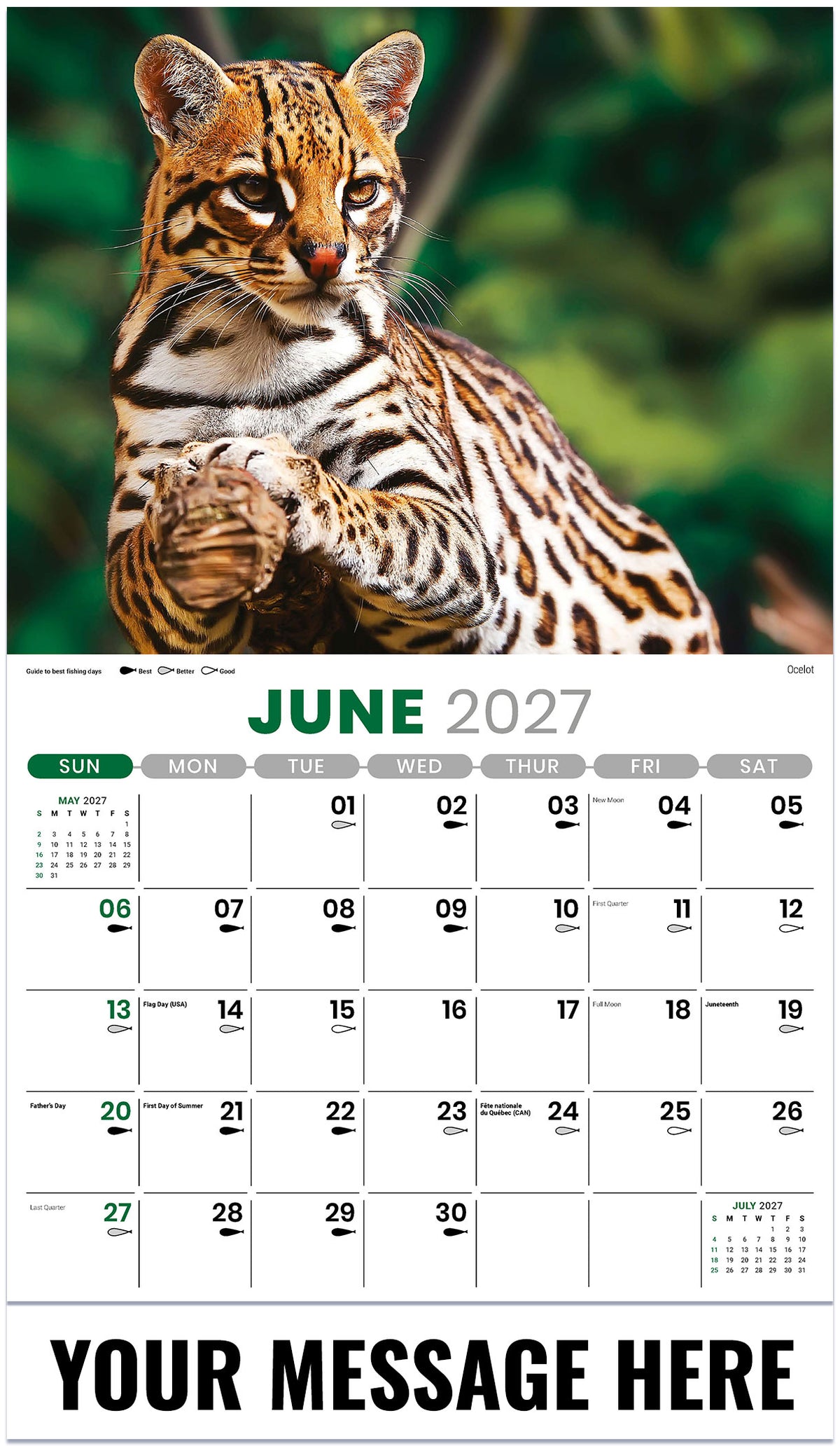 North American Wildlife - 2027 Promotional Calendar