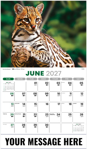 North American Wildlife - 2027 Promotional Calendar