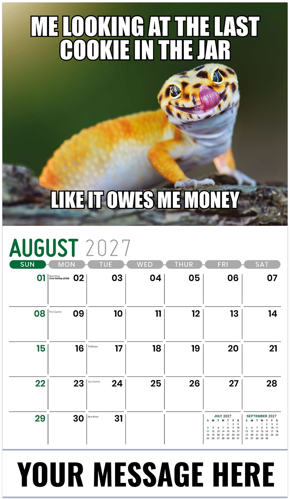 The Memeing of Life - 2027 Promotional Calendar