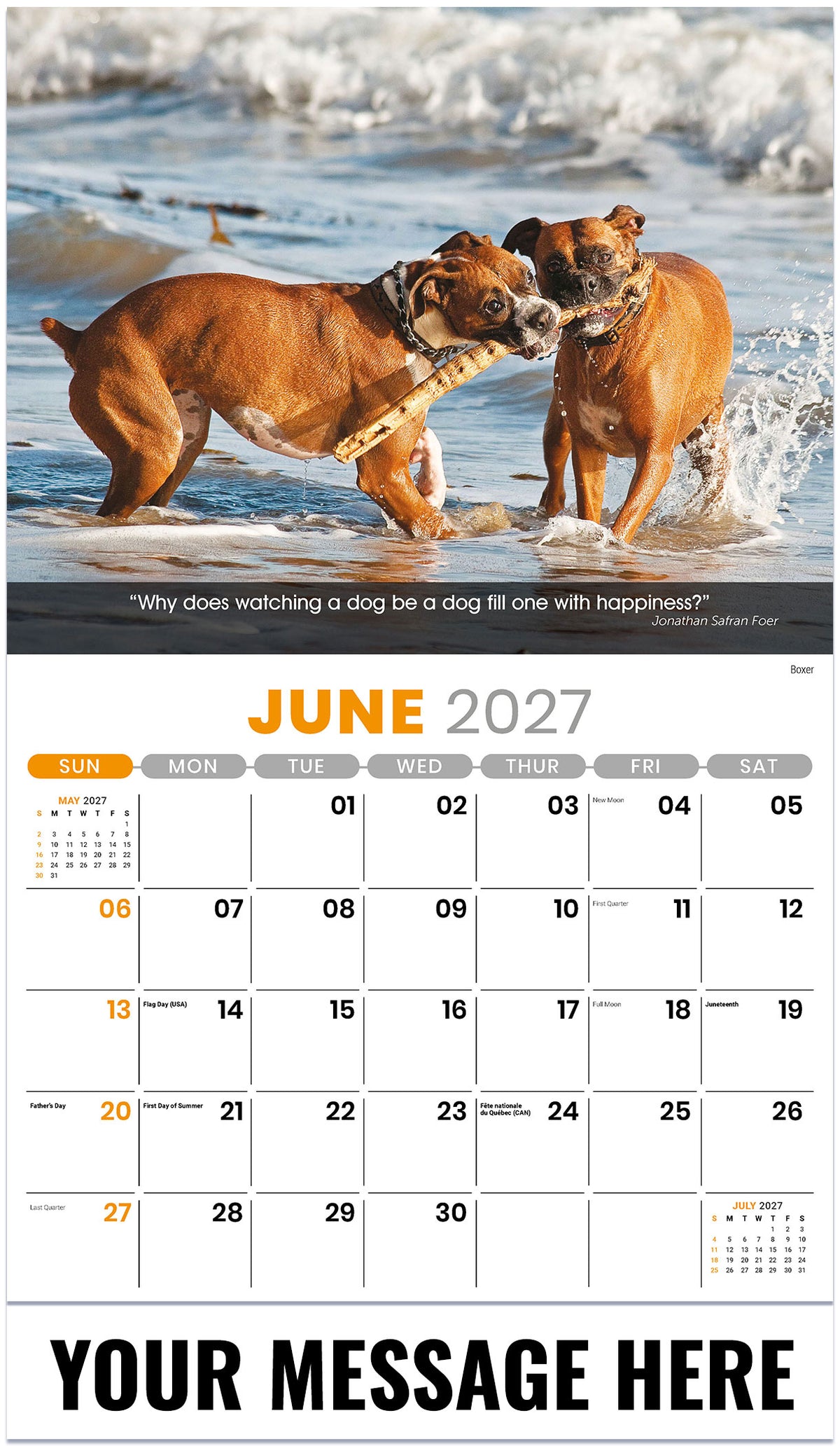 Dogs: Man's Best Friends - 2027 Promotional Calendar