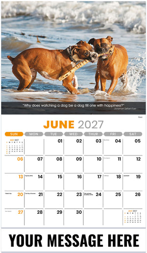 Dogs: Man's Best Friends - 2027 Promotional Calendar