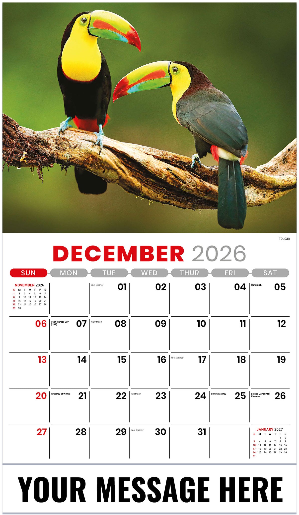 International Wildlife - 2027 Promotional Calendar