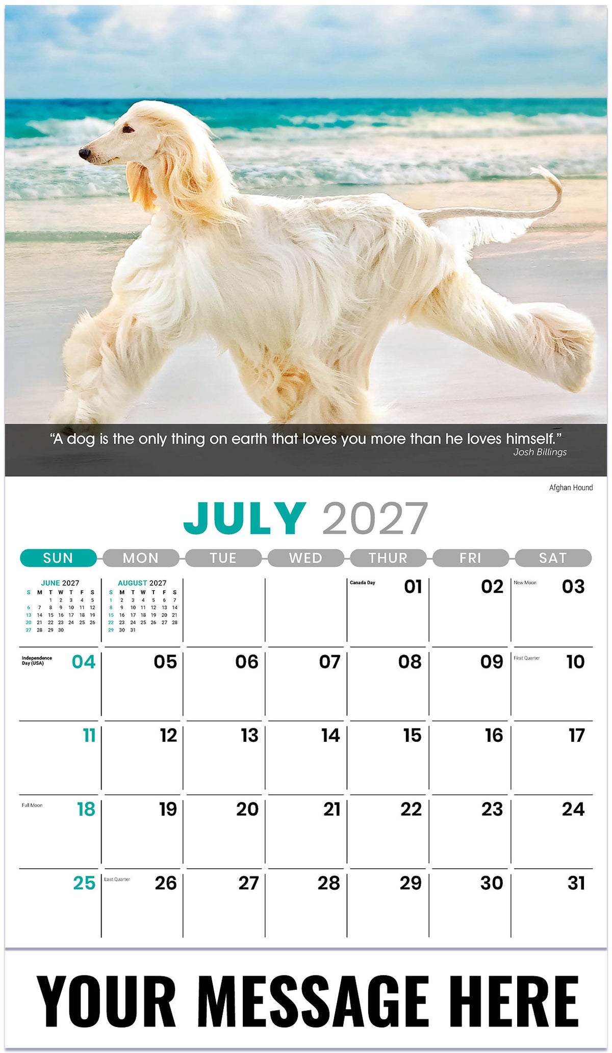 Dogs: Man's Best Friends - 2027 Promotional Calendar