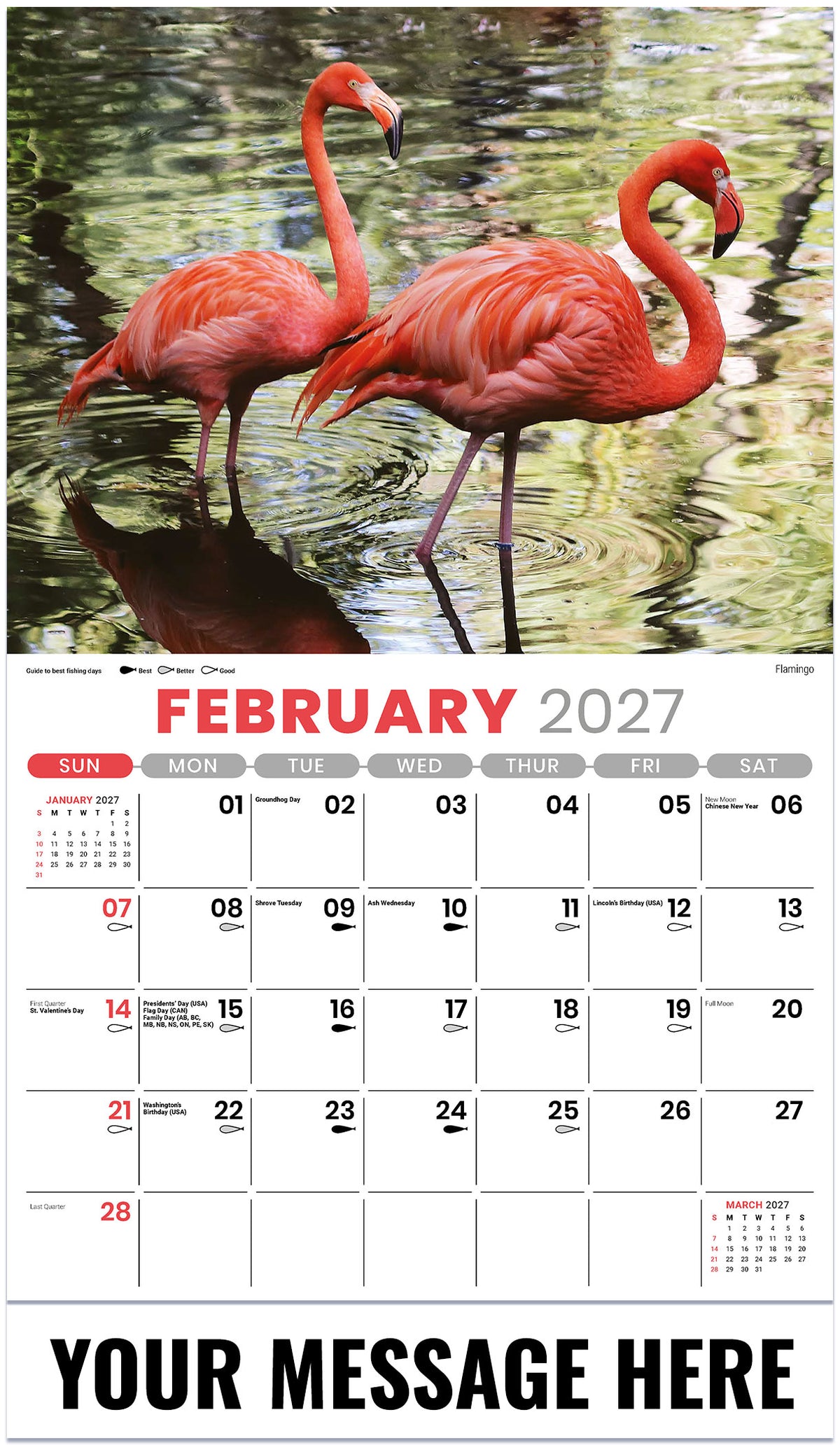 North American Wildlife - 2027 Promotional Calendar