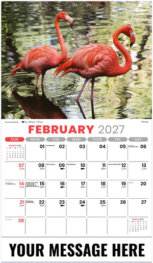 North American Wildlife - 2027 Promotional Calendar