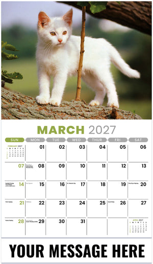 Kittens - 2027 Promotional Calendar