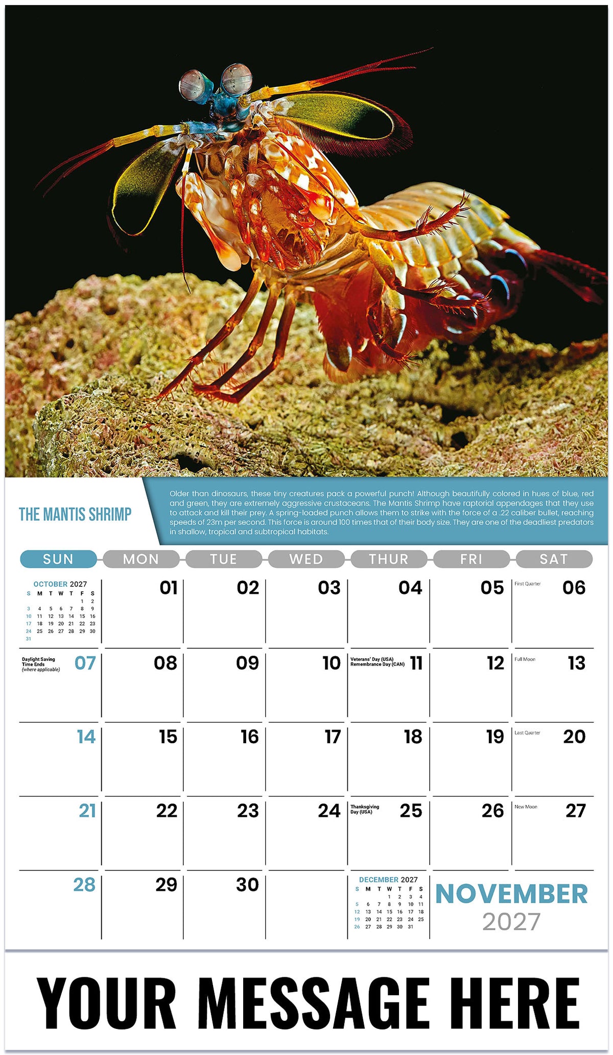 Planet Earth - 2027 Promotional Calendar