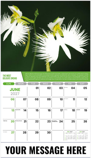 Planet Earth - 2027 Promotional Calendar