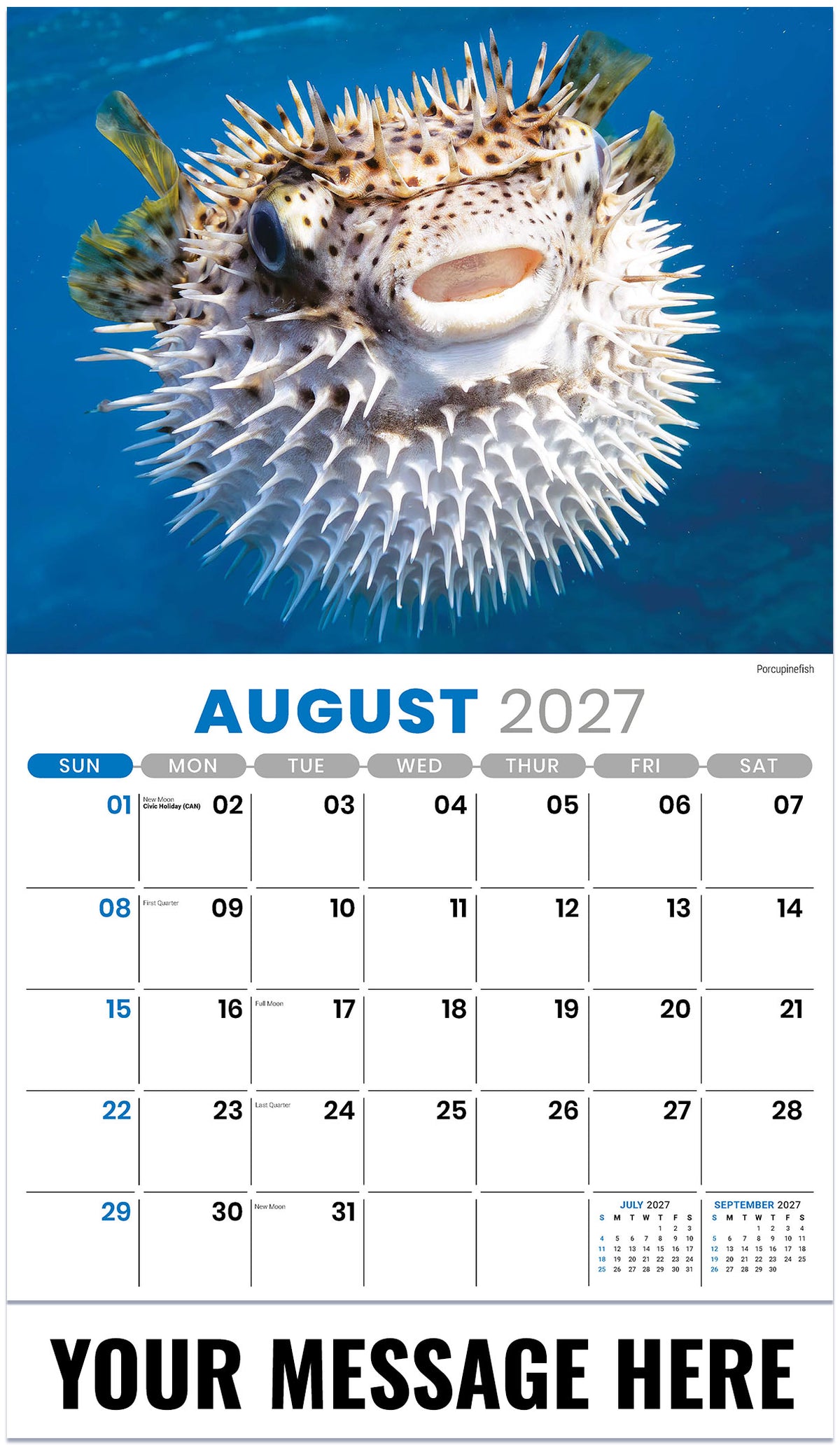 International Wildlife - 2027 Promotional Calendar