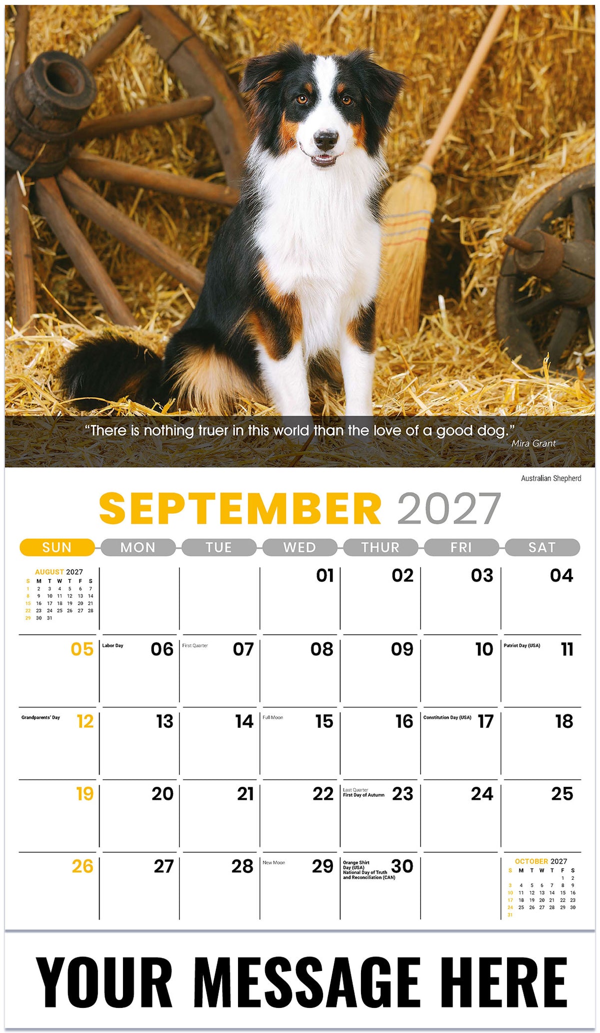 Dogs: Man's Best Friends - 2027 Promotional Calendar