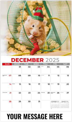 Pets - 2026 Promotional Calendar