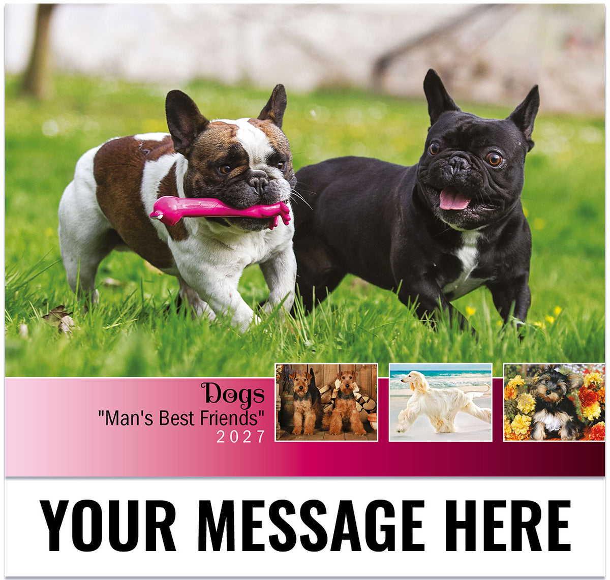 Dogs: Man's Best Friends - 2027 Promotional Calendar