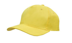 5 Panel Budget Cap - Gold