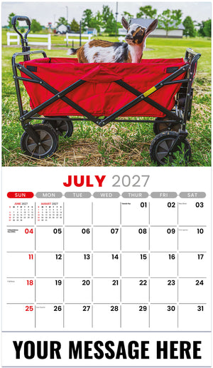 Pets - 2027 Promotional Calendar