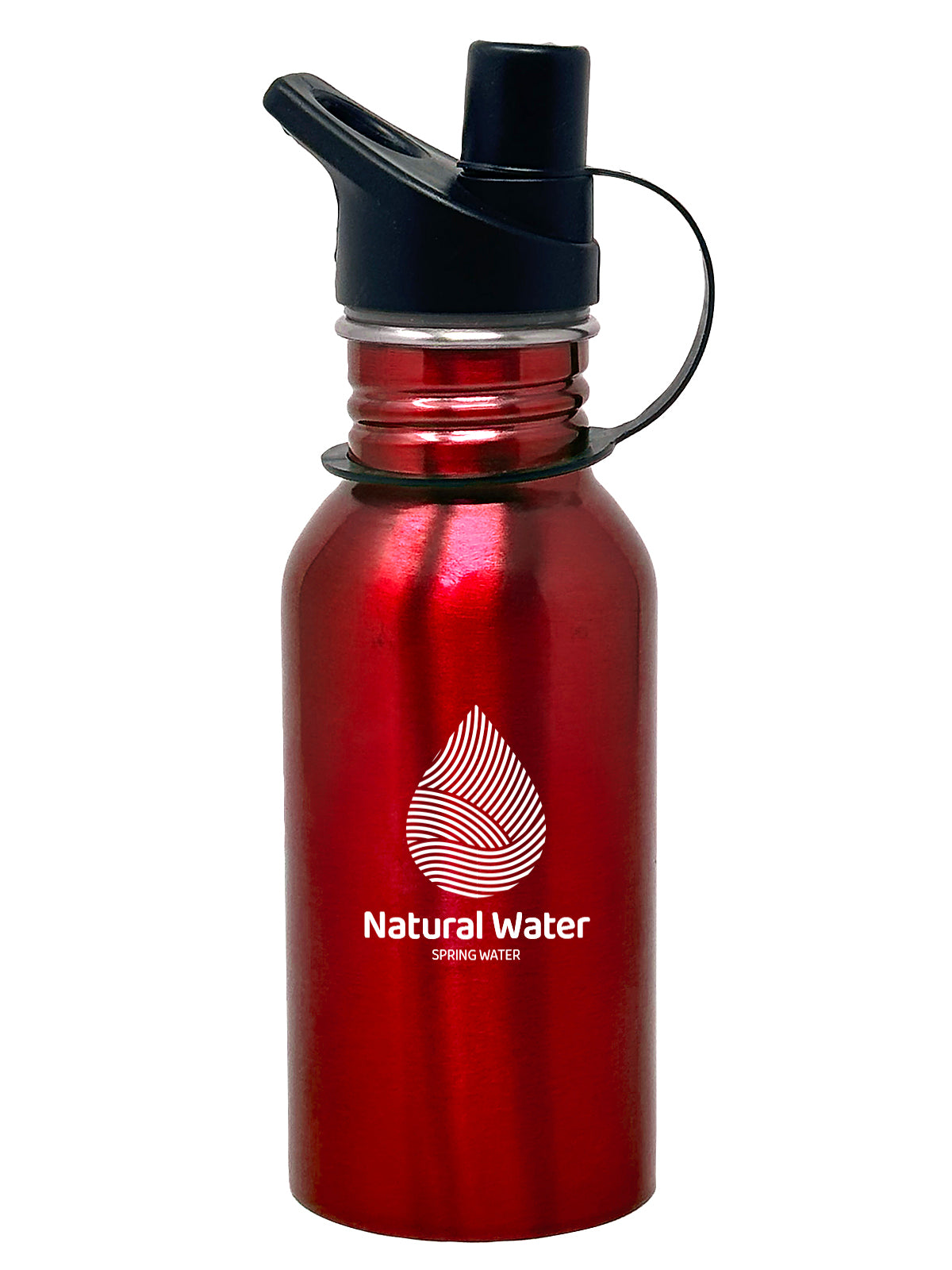 500 ml SS Water Bottle with Carabiner CM2191