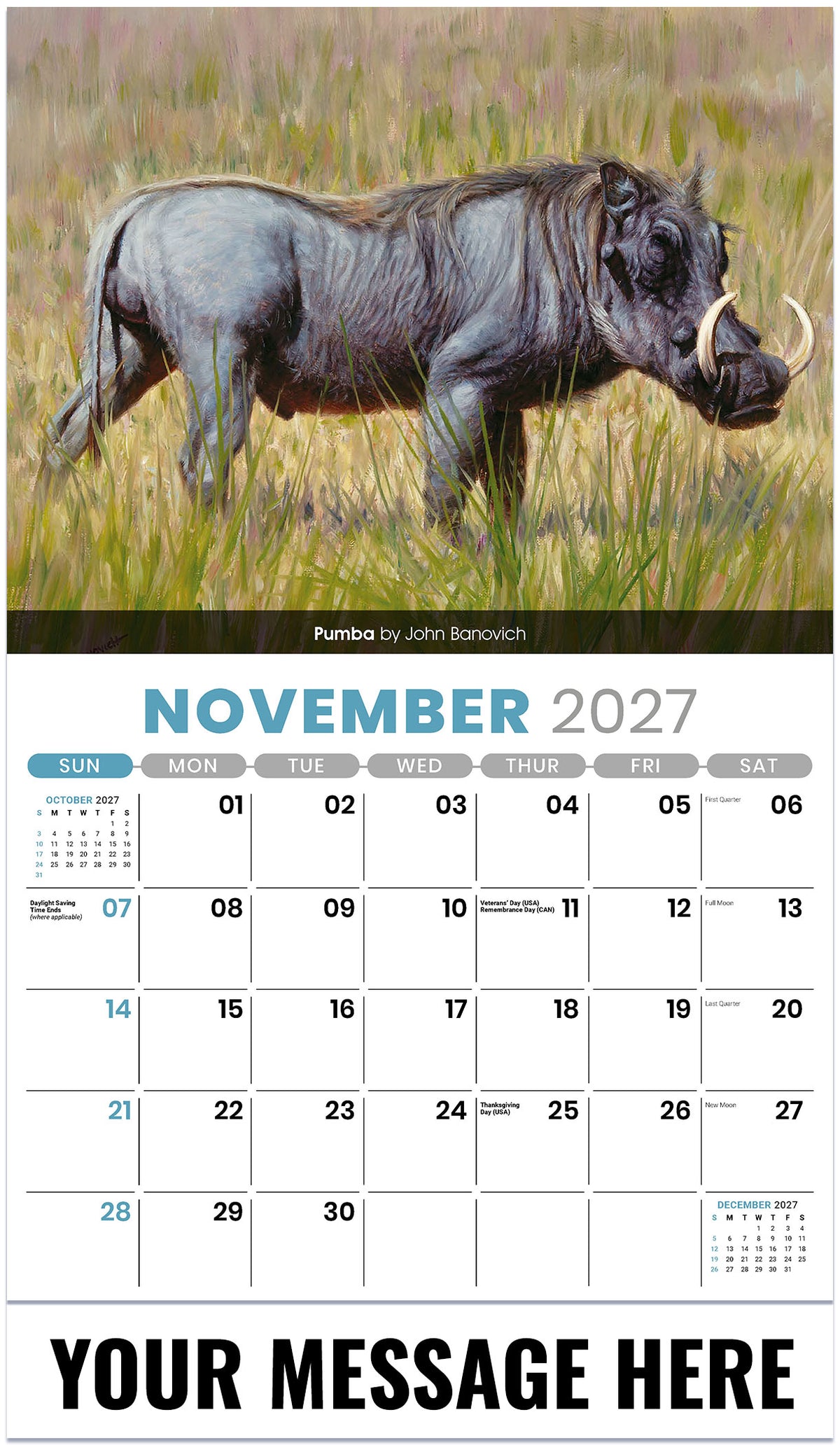 Wildlife Portraits - 2027 Promotional Calendar