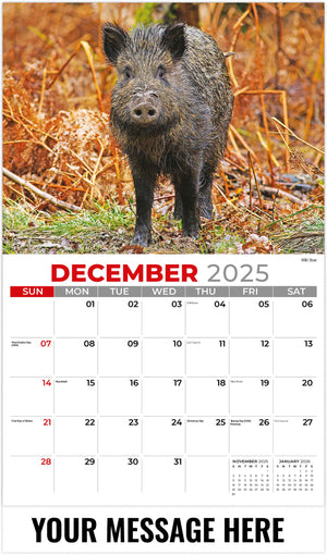 International Wildlife - 2026 Promotional Calendar