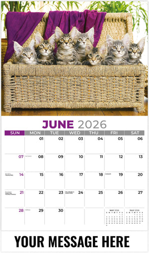 Kittens - 2026 Promotional Calendar