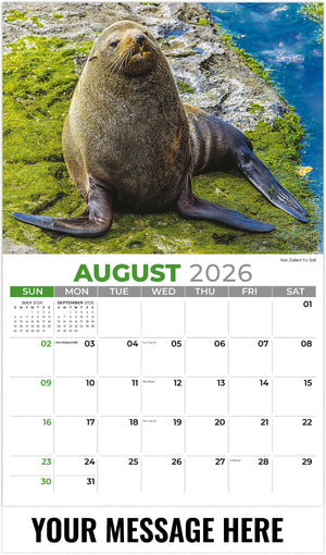 International Wildlife - 2026 Promotional Calendar