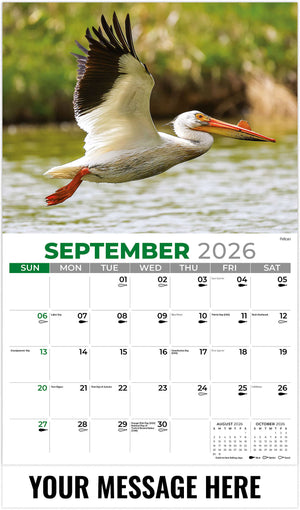 North American Wildlife - 2026 Promotional Calendar