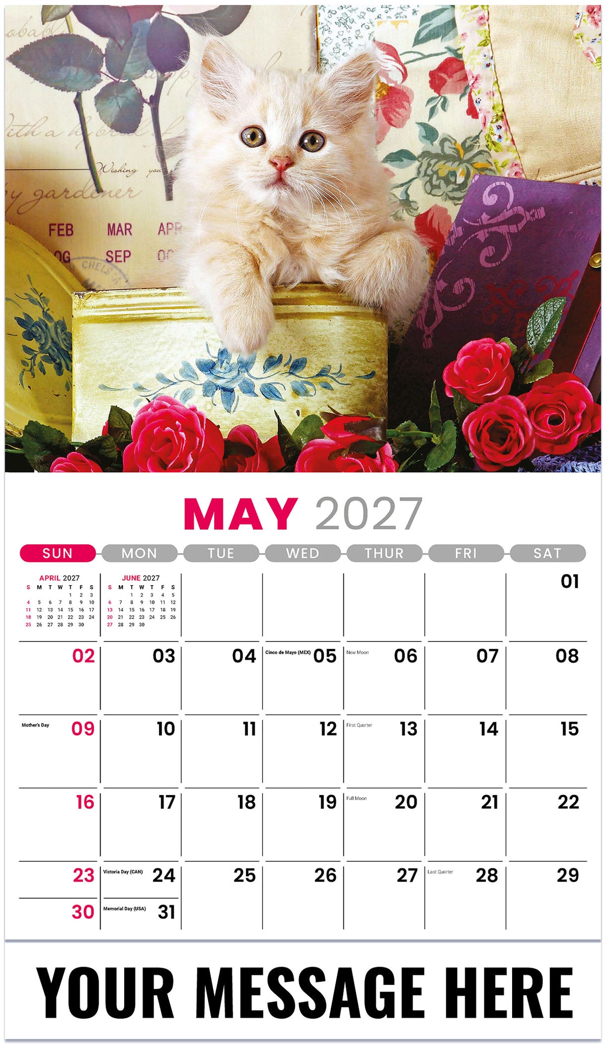 Kittens - 2027 Promotional Calendar
