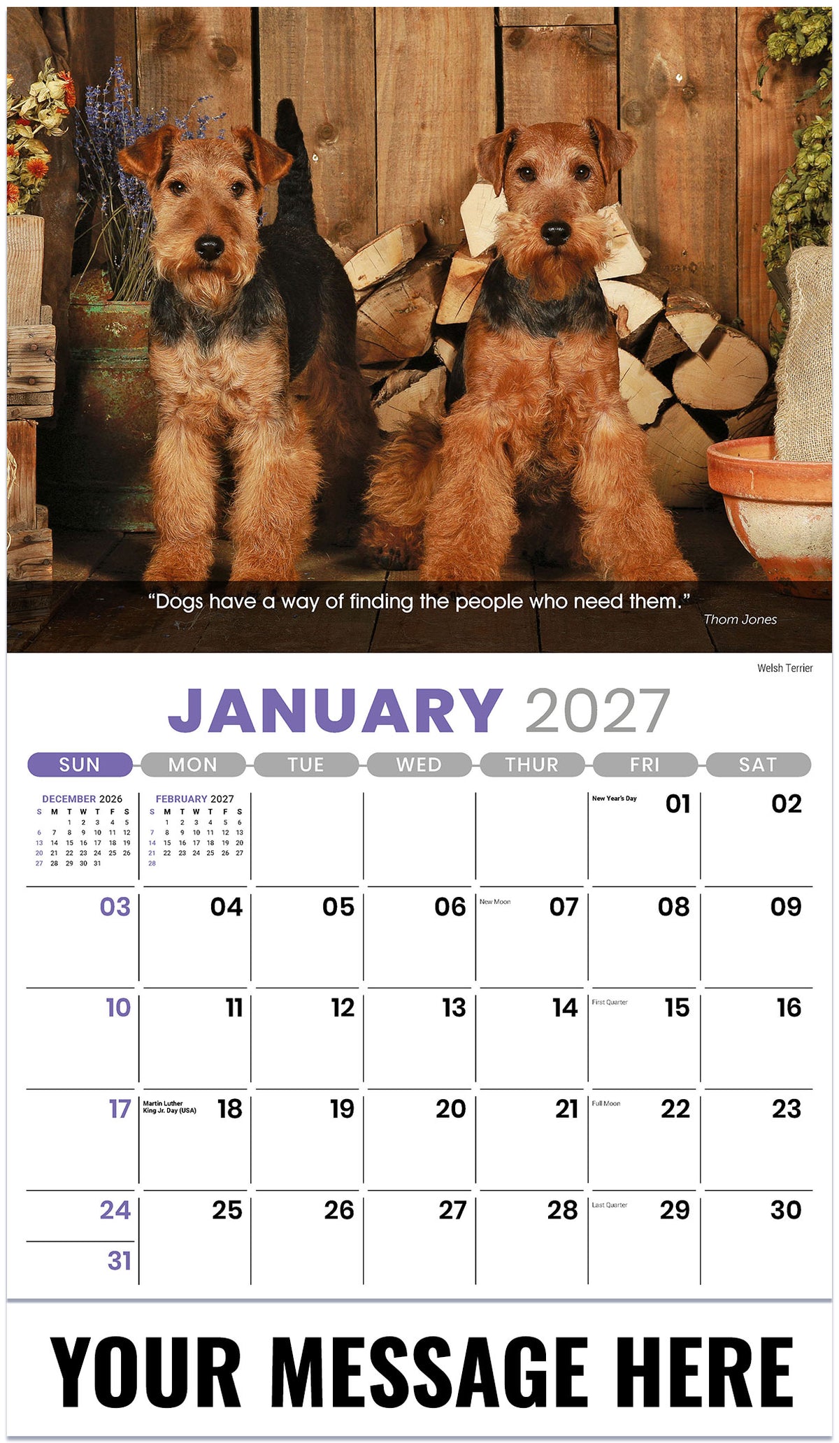 Dogs: Man's Best Friends - 2027 Promotional Calendar