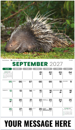 North American Wildlife - 2027 Promotional Calendar