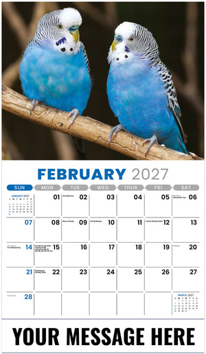 Pets - 2027 Promotional Calendar
