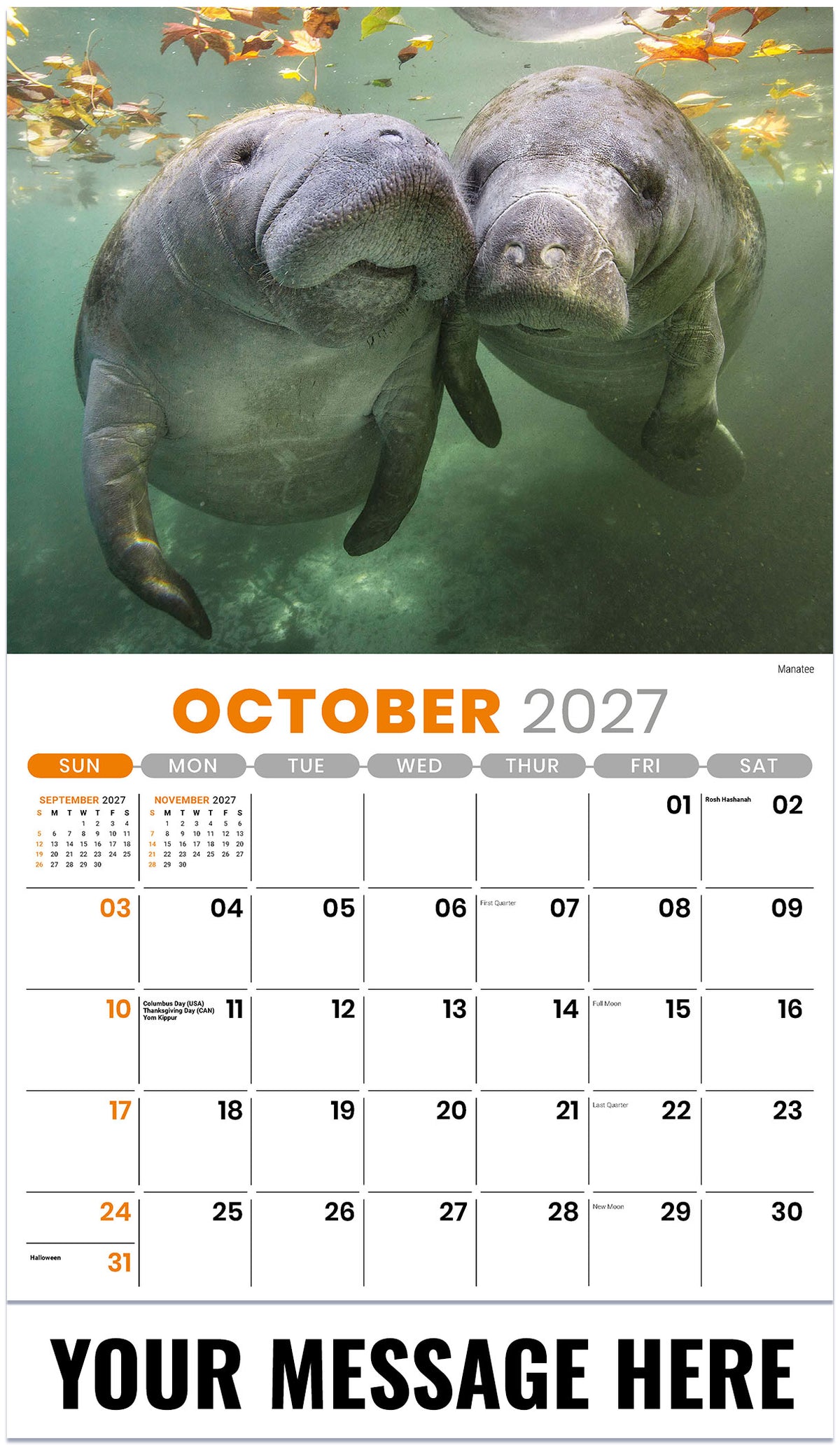International Wildlife - 2027 Promotional Calendar