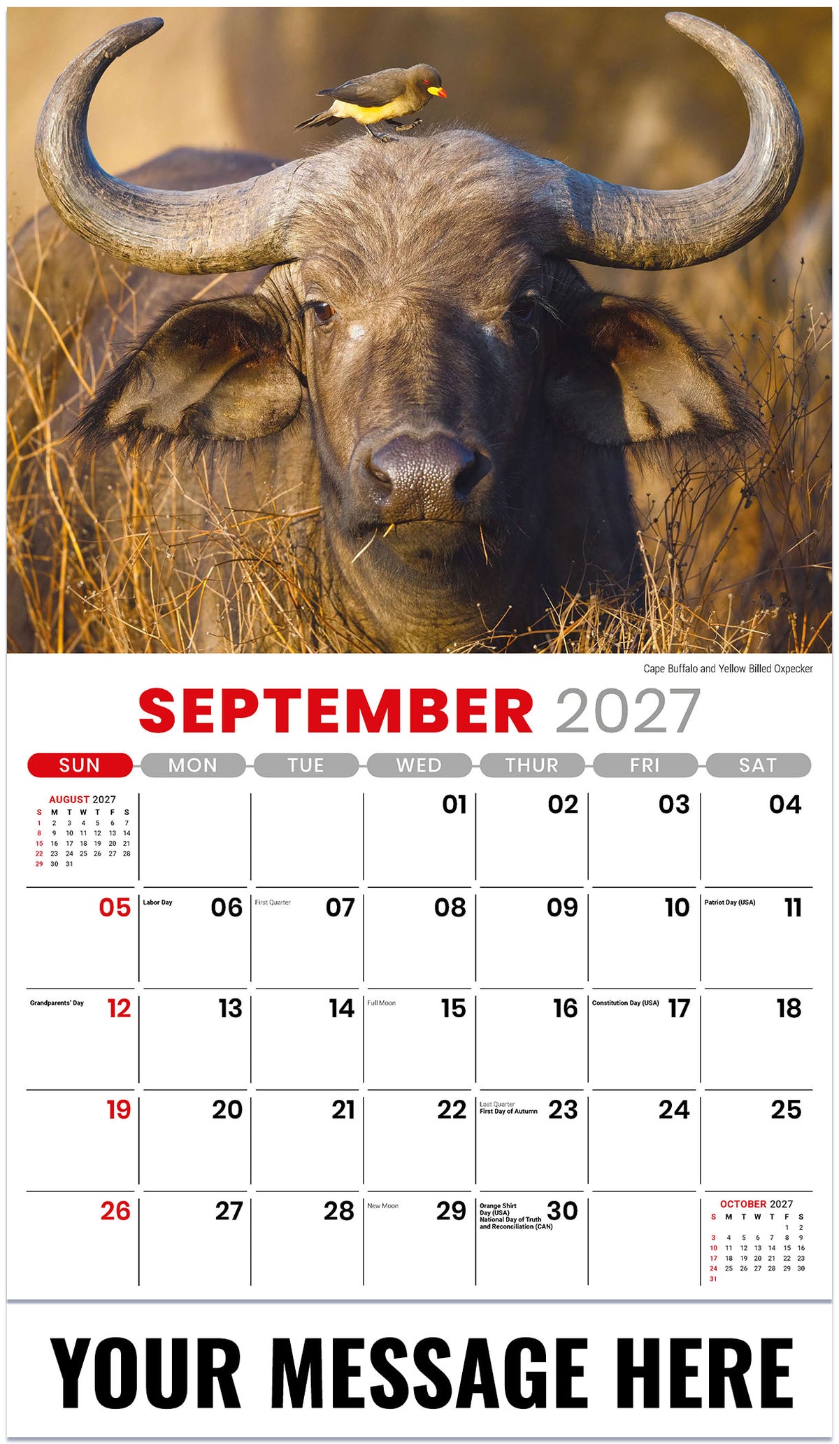 International Wildlife - 2027 Promotional Calendar