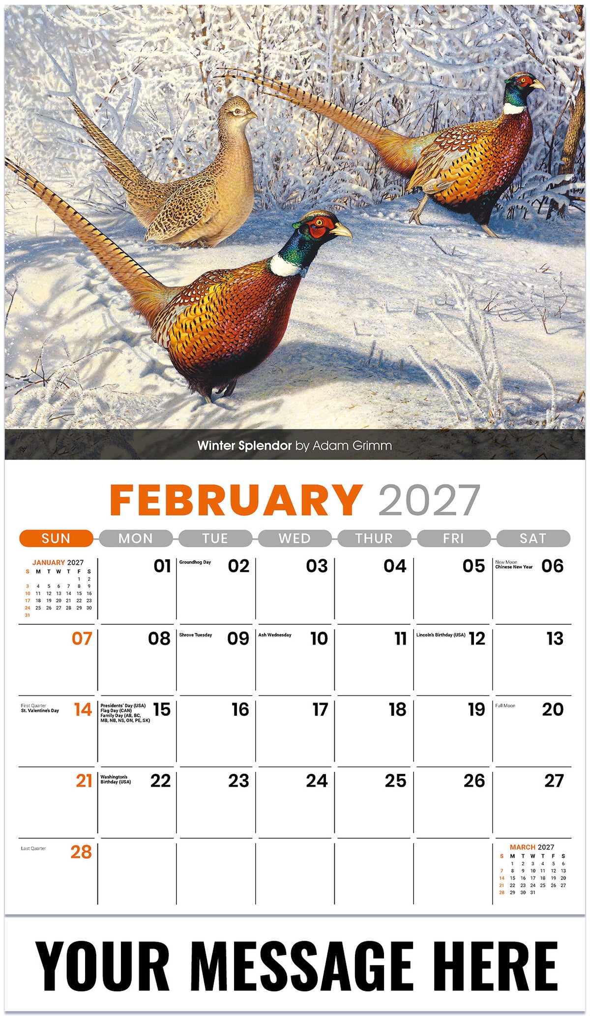 Wildlife Portraits - 2027 Promotional Calendar